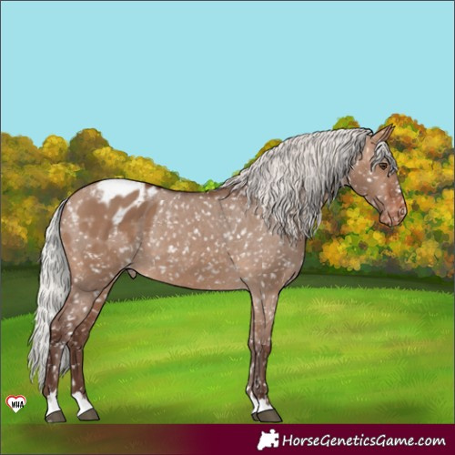 Horse Color:Silver Brown Dun Snowflake Varnish 