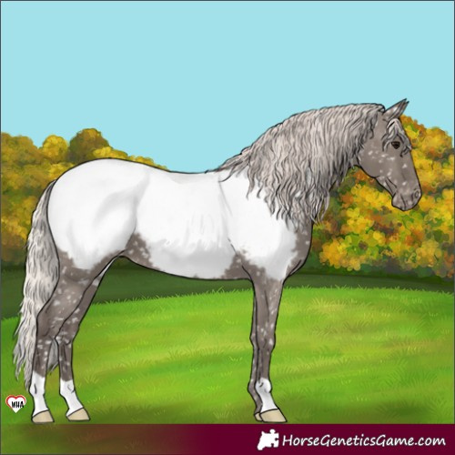 Horse Color:Silver Grullo Near Fewspot