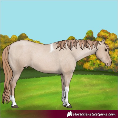 Horse Color:Grullo Pearl Tobiano Appaloosa Rabicano 