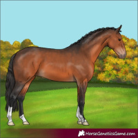 Horse Color:Brown 
