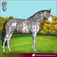 Horse Color:Brown Sabino