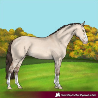 Horse Color:Amber Champagne Dun