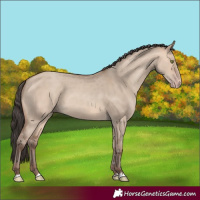 Horse Color:Amber Champagne Dun 