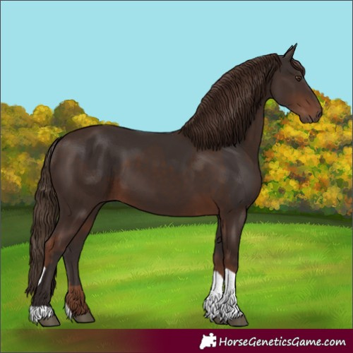 Horse Color:Liver Chestnut  and Liver Chestnut 