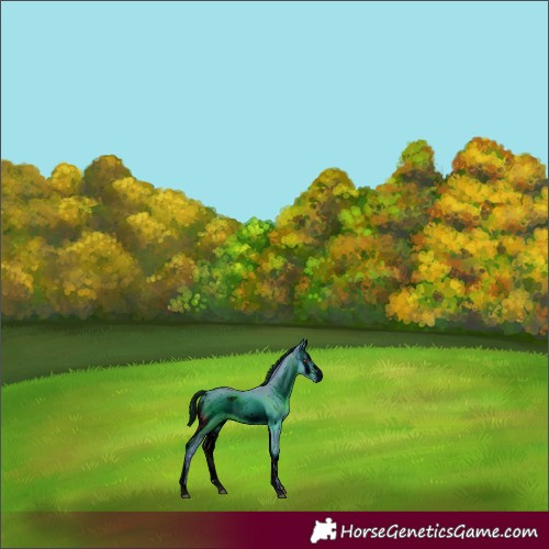 Horse Color:ERROR: UNKNOWN ANOMALY