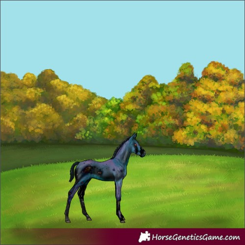 Horse Color:ERROR: UNKNOWN ANOMALY