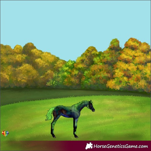 Horse Color:ERROR: UNKNOWN ANOMALY