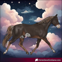 Horse Color:Liver Chestnut  and Liver Chestnut Frame 