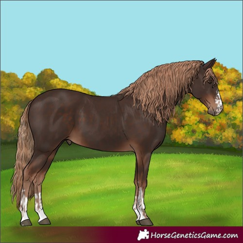 Horse Color:Liver Chestnut  and Liver Chestnut 
