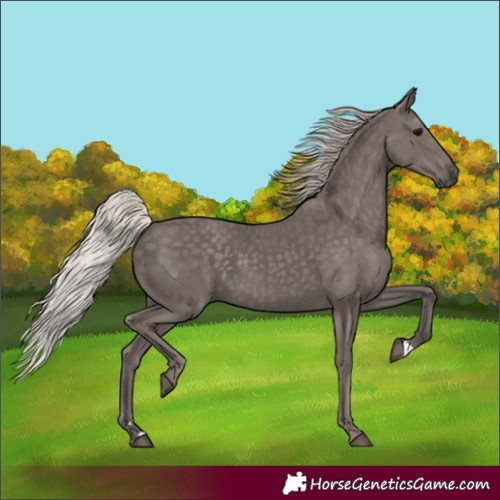 Horse Color:Silver Black 