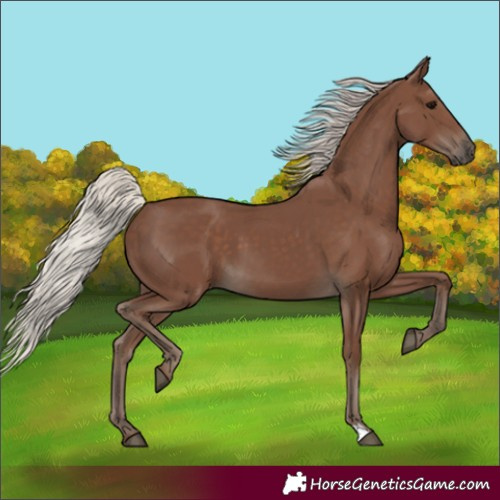 Horse Color:Silver Black 