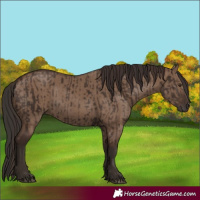 Horse Color:Liver Chestnut  and Liver Red Dun 