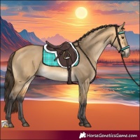 Horse Color:Buckskin Dun