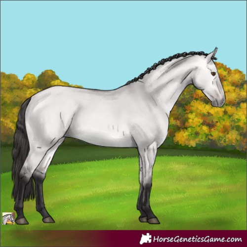 Horse Color:Platinum Buckskin Dun 