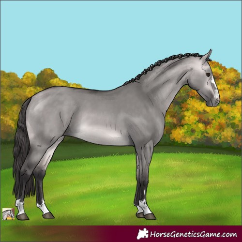 Horse Color:Platinum Buckskin Dun 