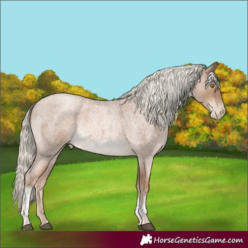 Horse Color:Liver Red Roan Pearl Mushroom Tobiano 
