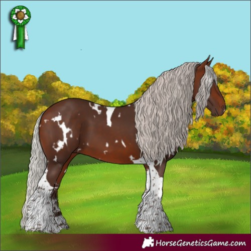 Horse Color:White Spotted Silver Brown Tobiano 