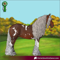 Horse Color:White Spotted Silver Brown Tobiano 