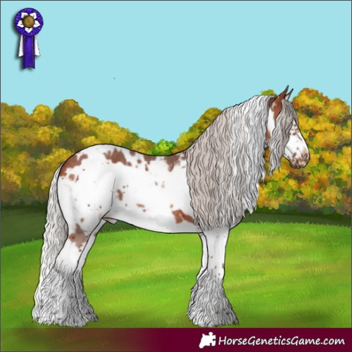 Horse Color:White Spotted Silver Brown Sabino Splash Frame 