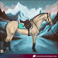 Horse Color:Buckskin Dun 