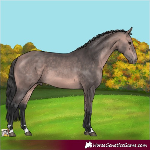Horse Color:Platinum Bay 