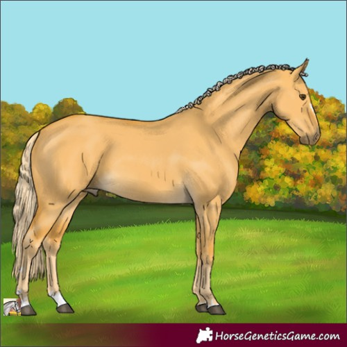 Horse Color:Palomino Dun 