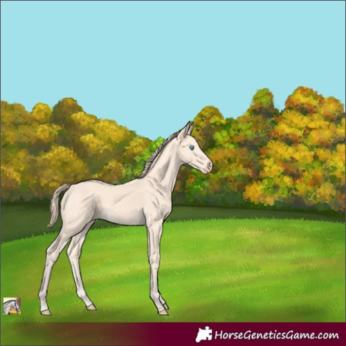 Horse Color:Perlino 