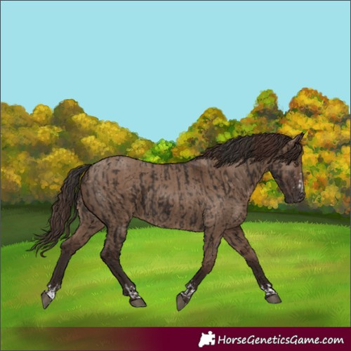 Horse Color:Liver Chestnut and Liver Red Dun
