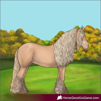 Horse Color:Gold Champagne Rabicano