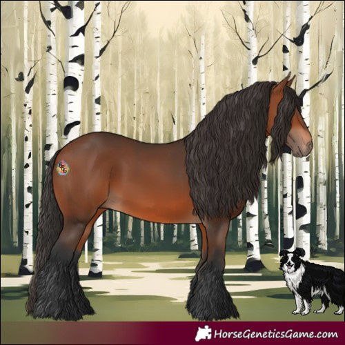 Horse Color:Bay Rabicano 