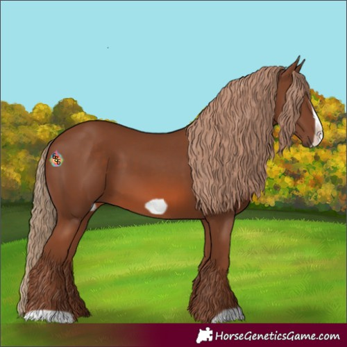 Horse Color:Chestnut Frame 