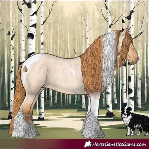 Horse Color:Red Dun Roan Tobiano 