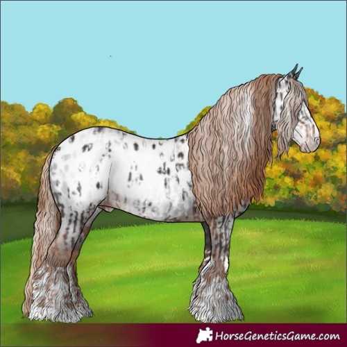 Horse Color:Liver Chestnut Blanket  and Gray Liver Chestnut Blanket 