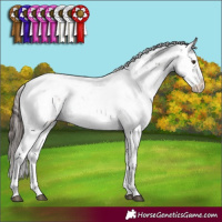 Horse Color:Liver Chestnut Sabino Rabicano