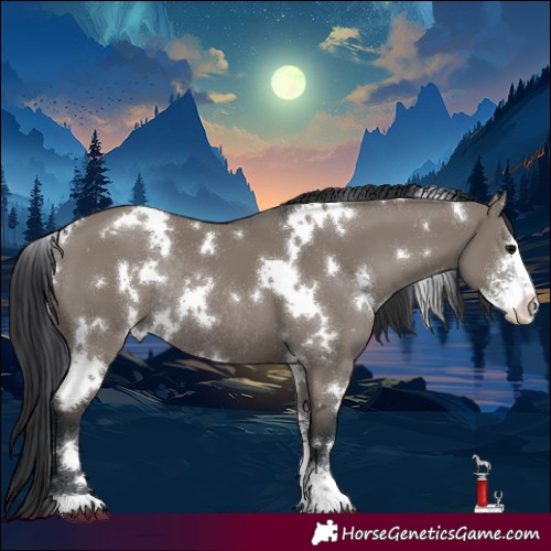 Horse Color:White Spotted Grullo Sabino Rabicano 