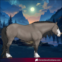 Horse Color:Grullo Sabino Rabicano