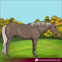 Horse Color:Silver Black