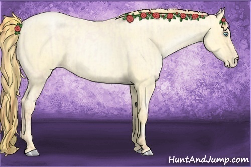 Horse Color:Buckskin Roan Pearl  and Buckskin Roan Pearl 