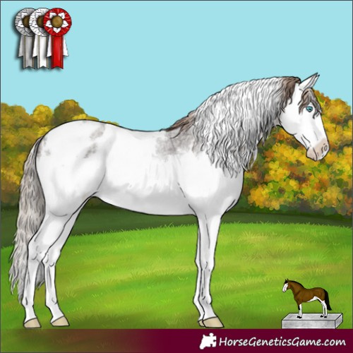 Horse Color:White Spotted Liver Red Roan Splash Appaloosa 