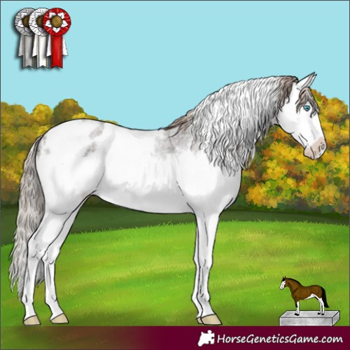 Horse Color:White Spotted Liver Red Roan Splash Blanket 