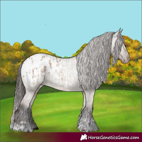 Horse Color:Liver Red Dun Appaloosa and Liver Red Dun Appaloosa