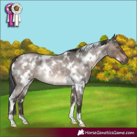 Horse Color:White Spotted Brown Roan Dun Mushroom 