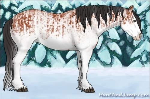Horse Color:White Spotted Bay Splash  and White Spotted Bay Splash 