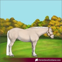 Horse Color:Cremello 
