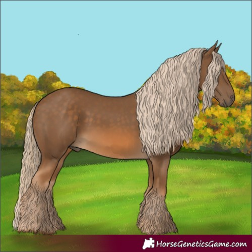 Horse Color:Chocolate Palomino 