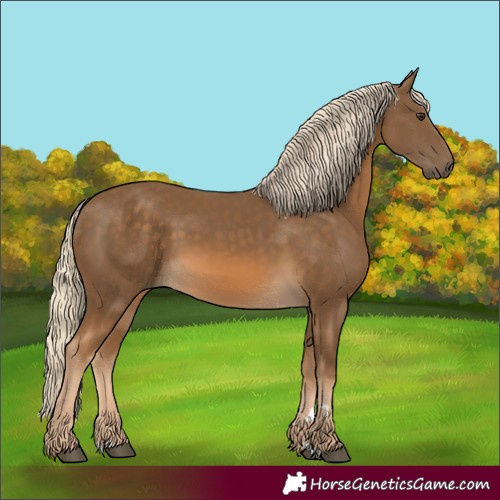 Horse Color:Chocolate Palomino 