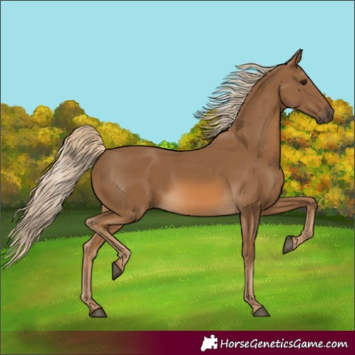 Horse Color:Chocolate Palomino 