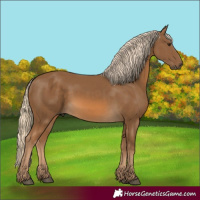Horse Color:Chocolate Palomino 