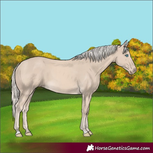 Horse Color:Cremello 