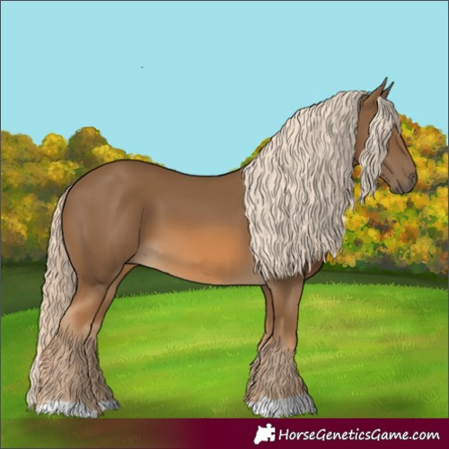 Horse Color:Chocolate Palomino 